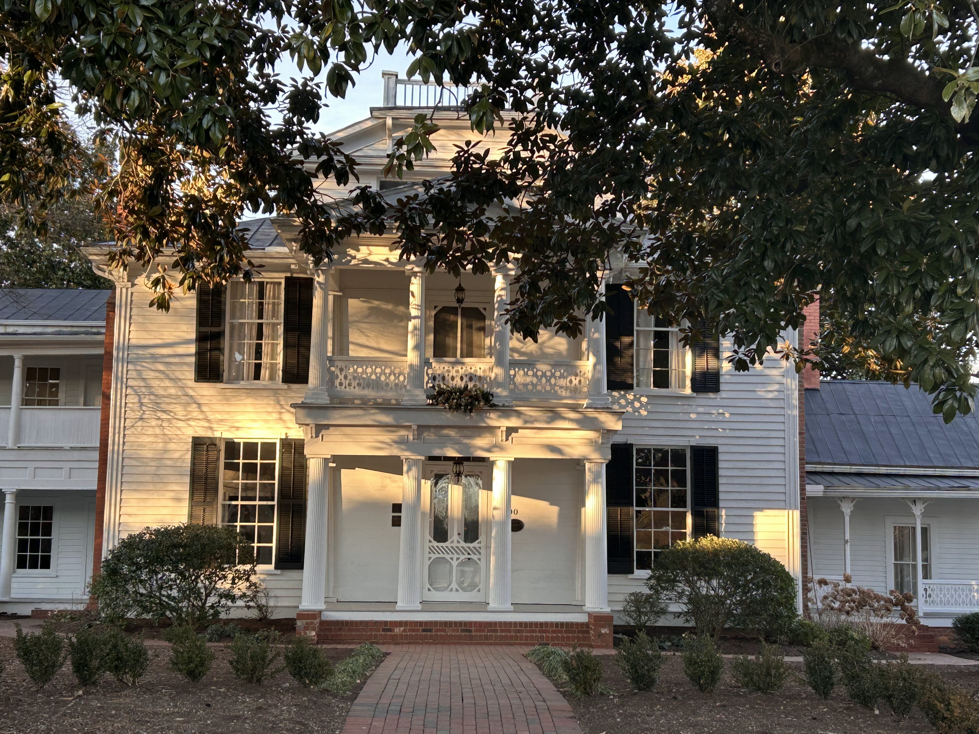 front of white house, with black shutters, shaded in foreground by magnolias